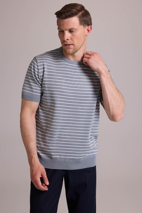 Erkek Mavi Regular Fit Bisiklet Yaka Çizgili Tişört
